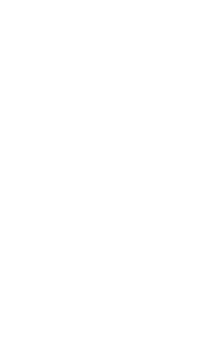 Business Application Solutions